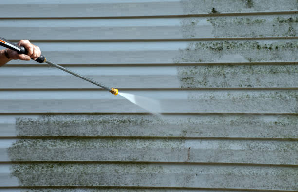 Best Driveway Pressure Washing  in Camp Hill, AL